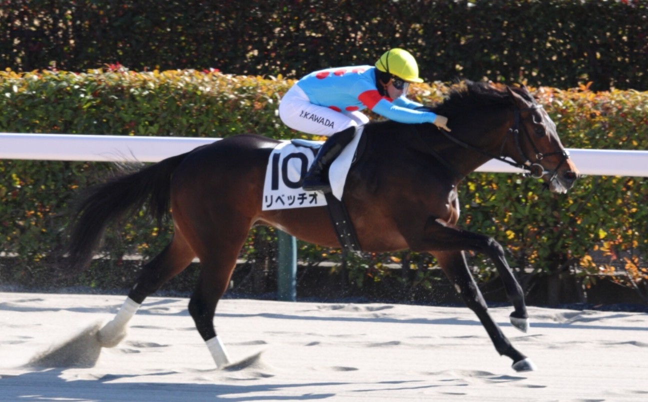 f:id:TAKOICHI:20260607094330j:image
