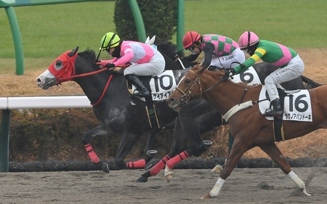 f:id:TAKOICHI:20260701155403j:image f:id:TAKOICHI:20260701155403j:image