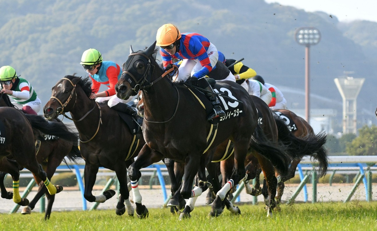 f:id:TAKOICHI:20260702152850j:image f:id:TAKOICHI:20260702152850j:image