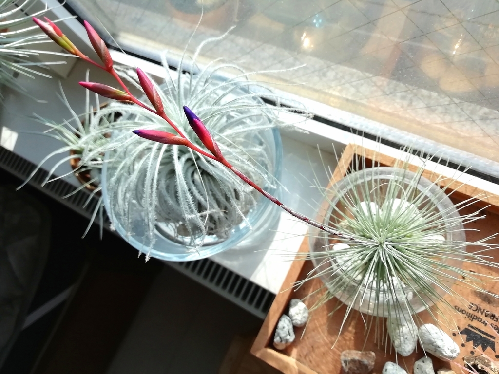 f:id:TAKUT:20190307085043j:plain f:id:TAKUT:20190307085043j:plain