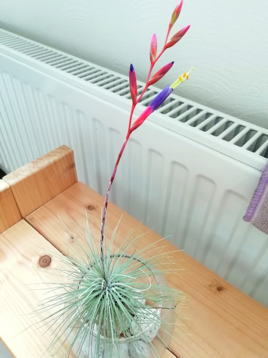 f:id:TAKUT:20190320213038j:plain f:id:TAKUT:20190320213038j:plain