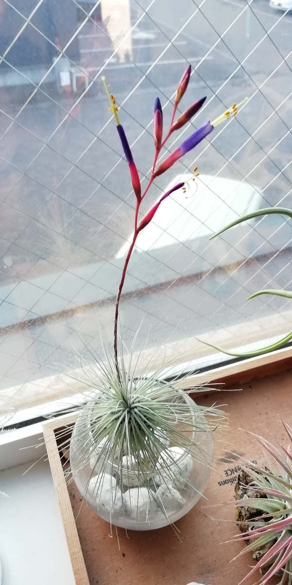 f:id:TAKUT:20190320213713j:plain f:id:TAKUT:20190320213713j:plain