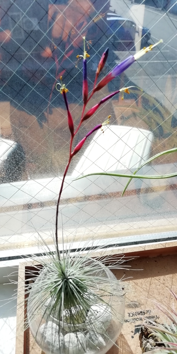 f:id:TAKUT:20190320214319j:plain f:id:TAKUT:20190320214319j:plain