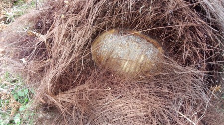 f:id:TAK_TAK:20170812123733j:image:left