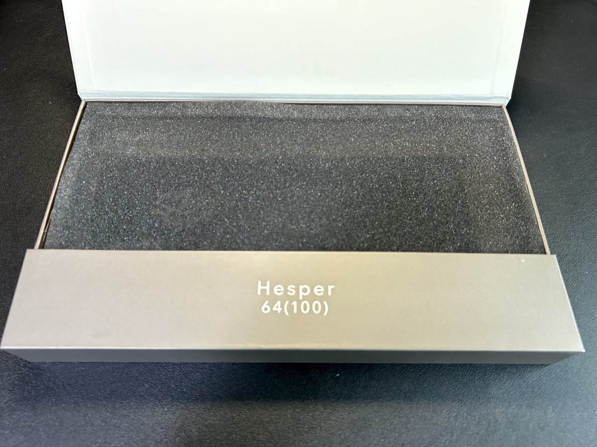 Nics Hesper64(100) レビュー｜世界初のデュアルアクションキーを搭載