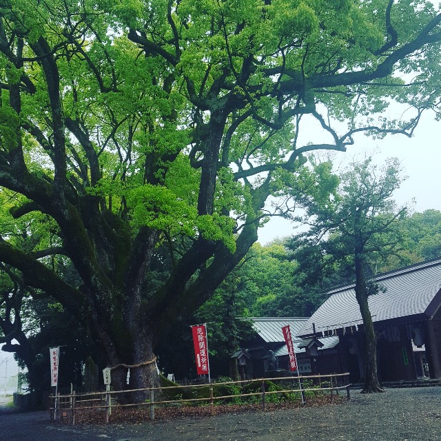 f:id:TAMASAN:20190430234055j:image f:id:TAMASAN:20190430234055j:image