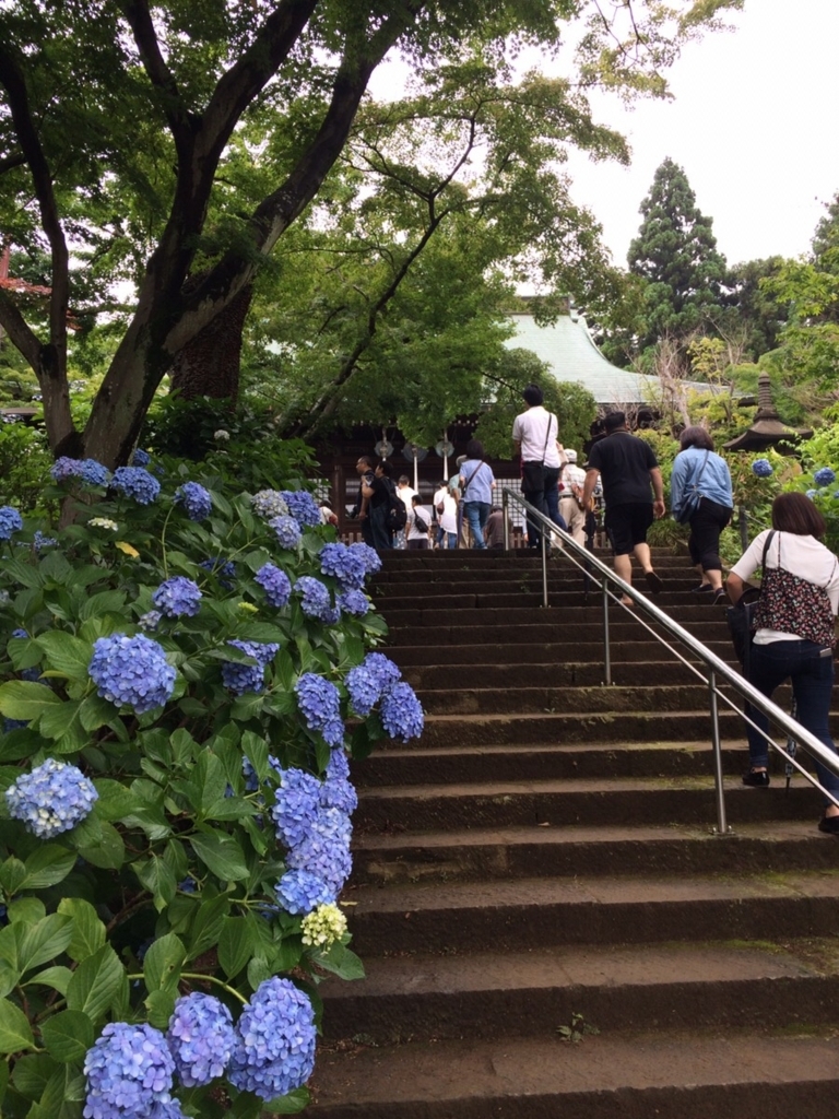 f:id:TAMURA-FM:20170625133441j:plain f:id:TAMURA-FM:20170625133441j:plain