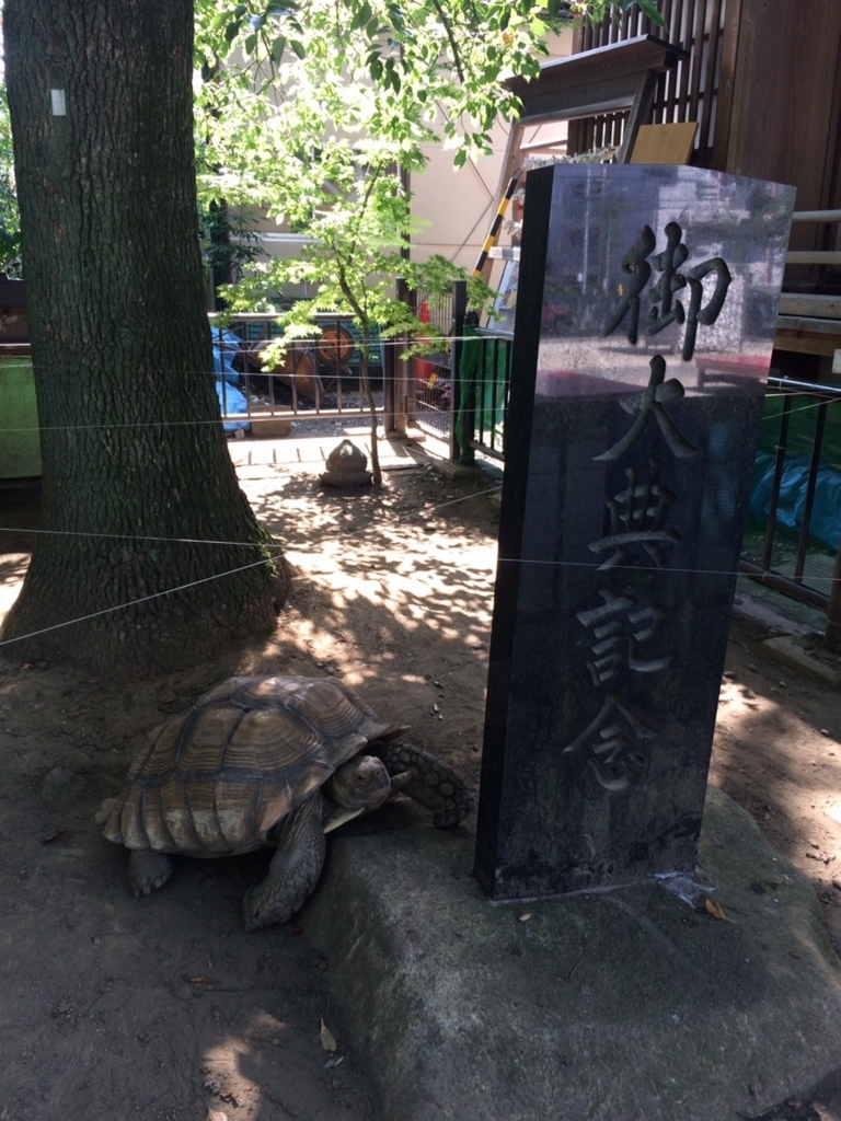 f:id:TAMURA-FM:20170729092304j:plain f:id:TAMURA-FM:20170729092304j:plain