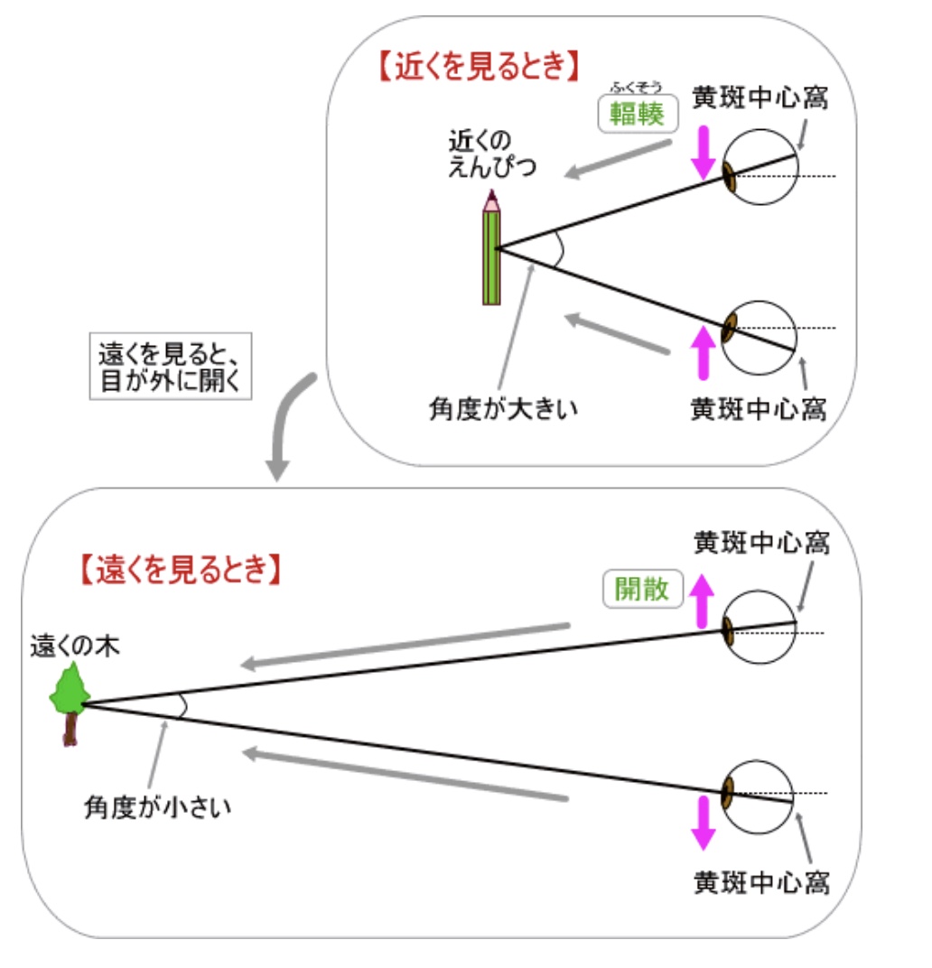 f:id:TARAchang:20210420115308j:plain