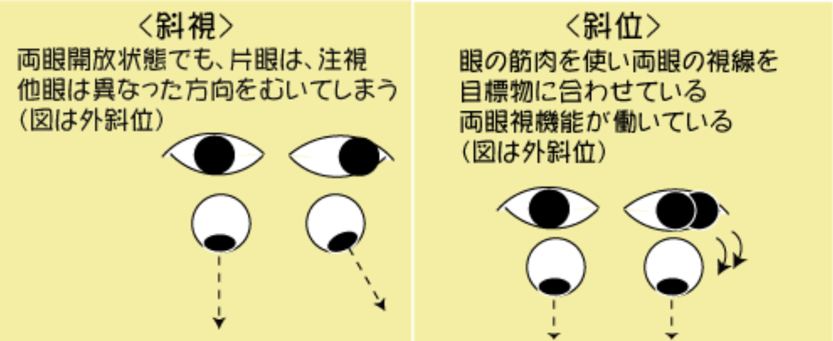 f:id:TARAchang:20210622140130j:plain