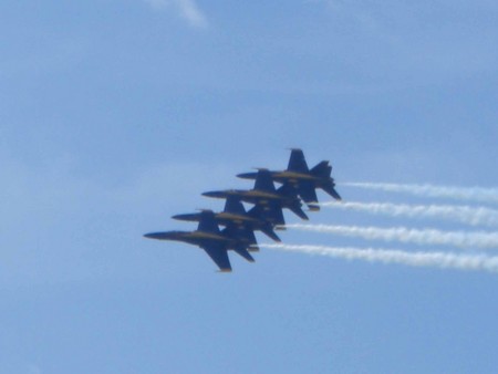f:id:TARHEELS:20070407104437j:image f:id:TARHEELS:20070407104437j:image