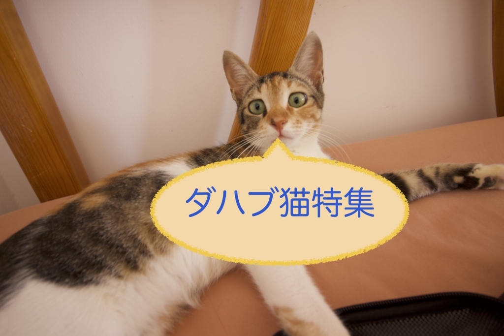 f:id:TARO20:20180706231843j:plain f:id:TARO20:20180706231843j:plain