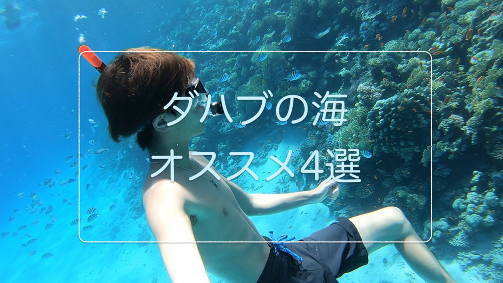 f:id:TARO20:20180710012309j:plain f:id:TARO20:20180710012309j:plain
