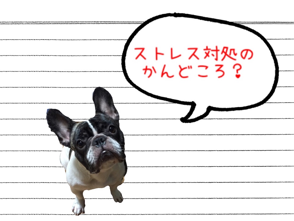 f:id:TAROsan:20181231110851j:image