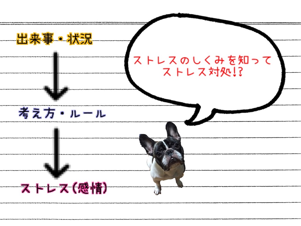 f:id:TAROsan:20181231114006j:image