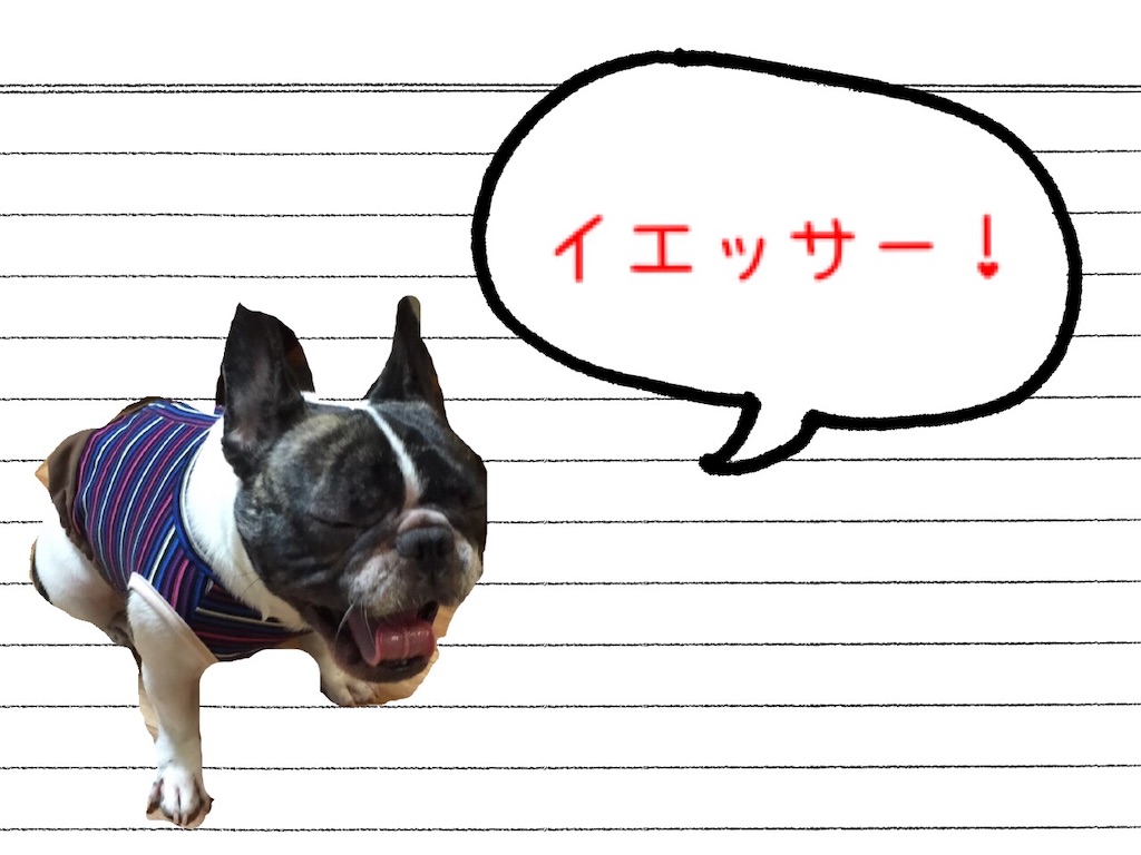 f:id:TAROsan:20190220205328j:image