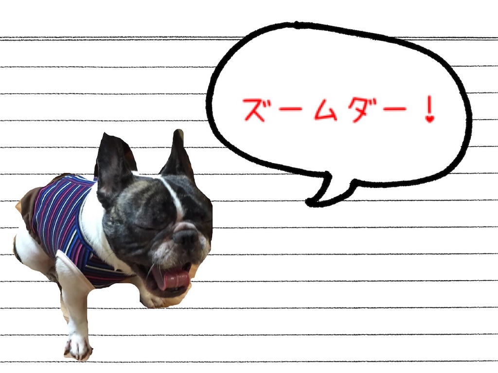 f:id:TAROsan:20190220205603j:image