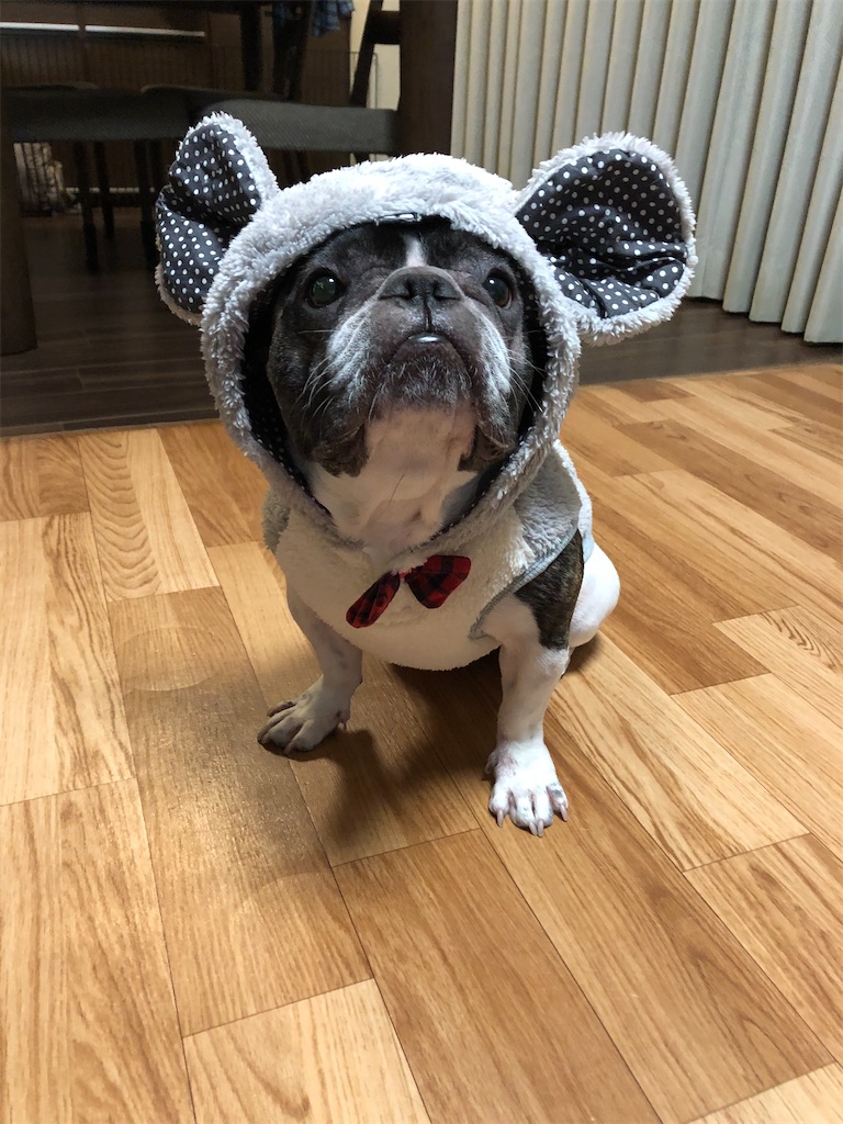 f:id:TAROsan:20191231170150j:image f:id:TAROsan:20191231170150j:image