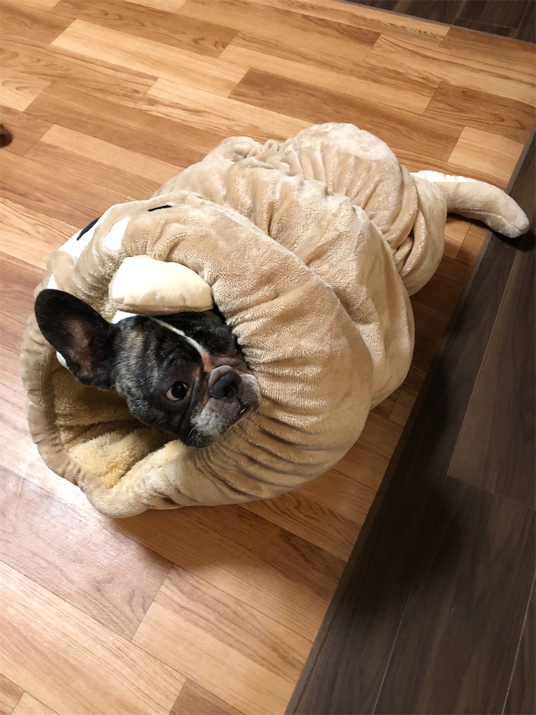 f:id:TAROsan:20200107184311j:image