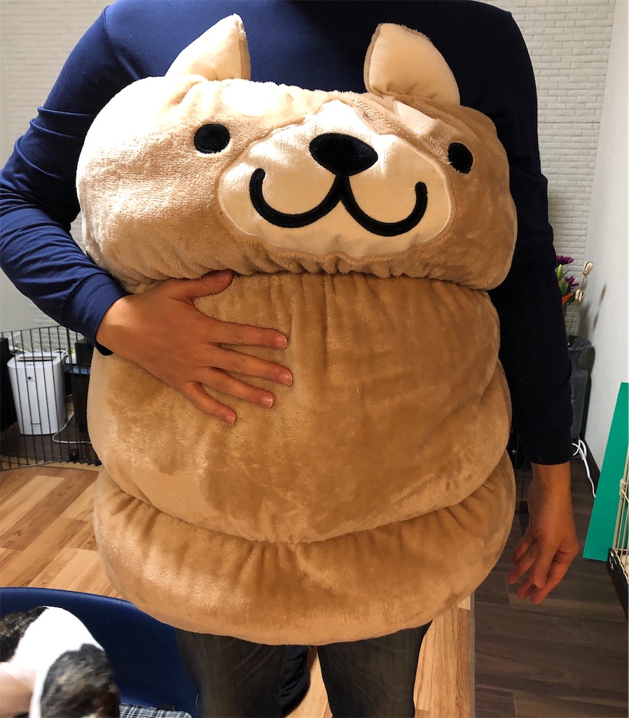 f:id:TAROsan:20200107193314j:image