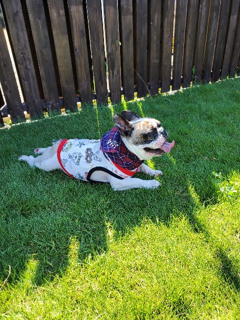 f:id:TAROsan:20201012211432j:image