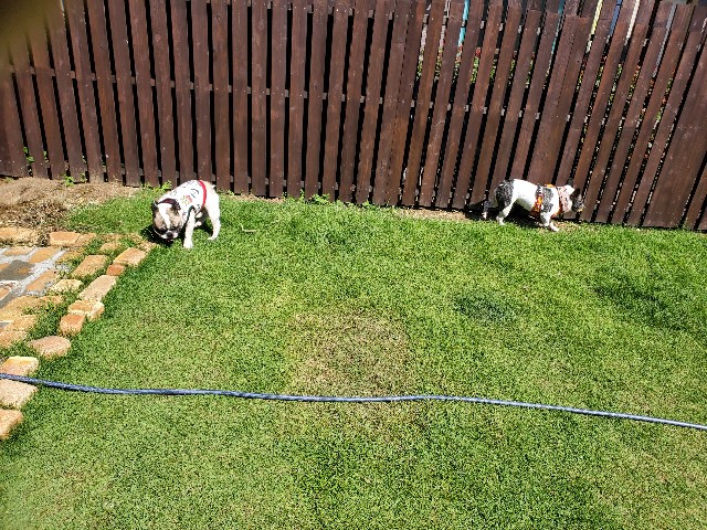 f:id:TAROsan:20201012211724j:image