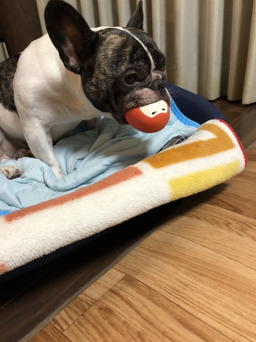 f:id:TAROsan:20201013210418j:plain