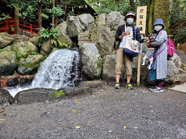 f:id:TAROsan:20201024180642j:image