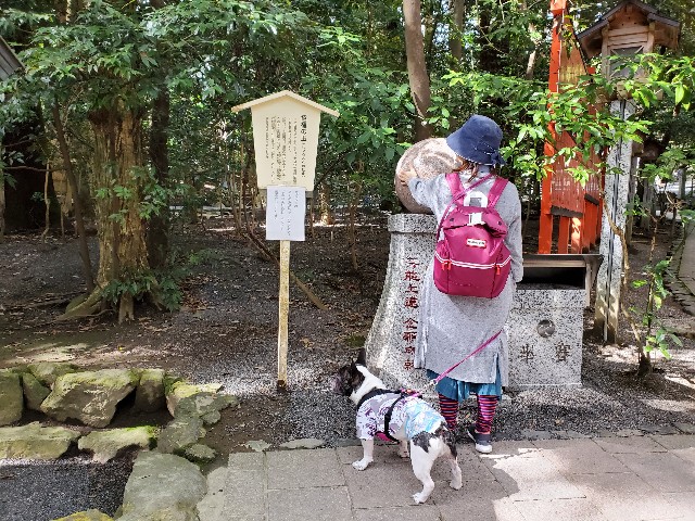 f:id:TAROsan:20201024180754j:image