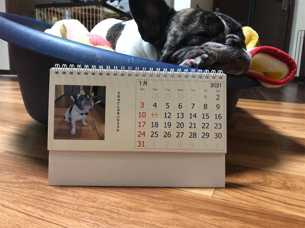 f:id:TAROsan:20201113222316j:image