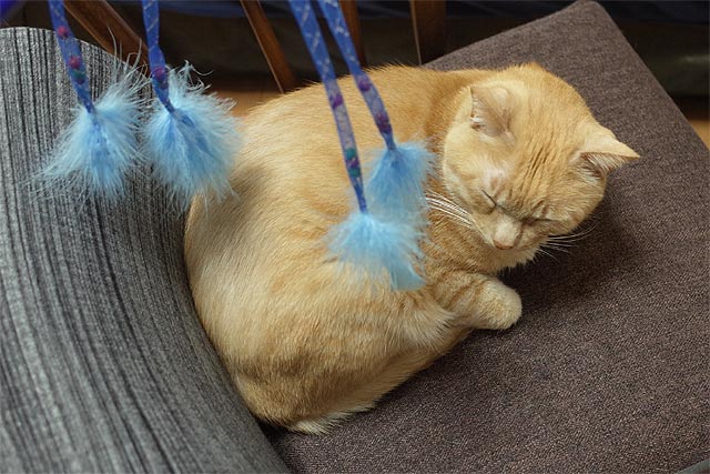 f:id:TARSAMA:20200225222337j:plain