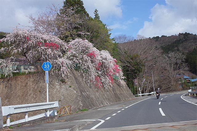 f:id:TARSAMA:20210406084429j:plain