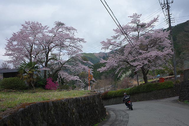 f:id:TARSAMA:20210406084749j:plain