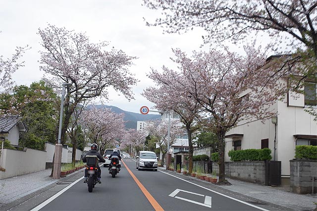 f:id:TARSAMA:20210406221227j:plain