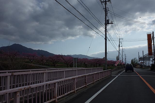 f:id:TARSAMA:20210407200852j:plain