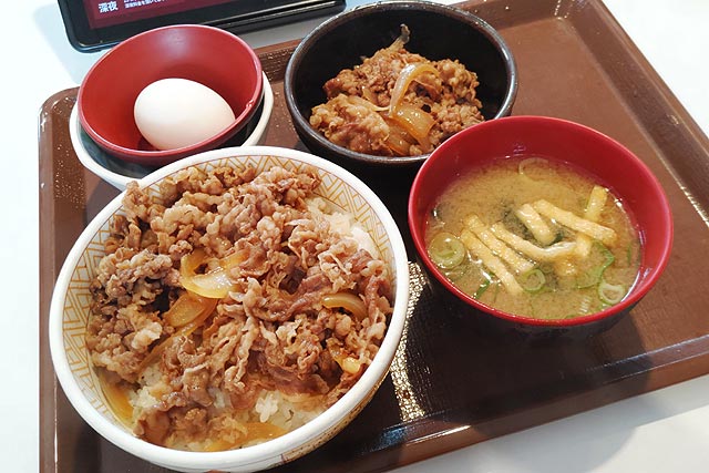 すき家の並盛り牛丼ですらお腹が膨れて食べきれないと感じる件 - VFRで