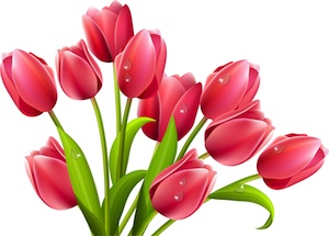 f:id:TBE03660:20201207214755j:plain