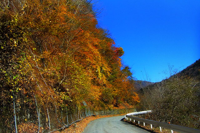 f:id:TDM900:20121120224456j:image f:id:TDM900:20121120224456j:image