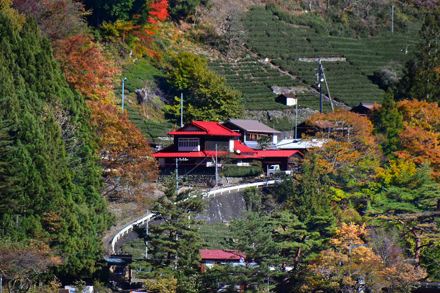 f:id:TDM900:20121120224503j:image f:id:TDM900:20121120224503j:image