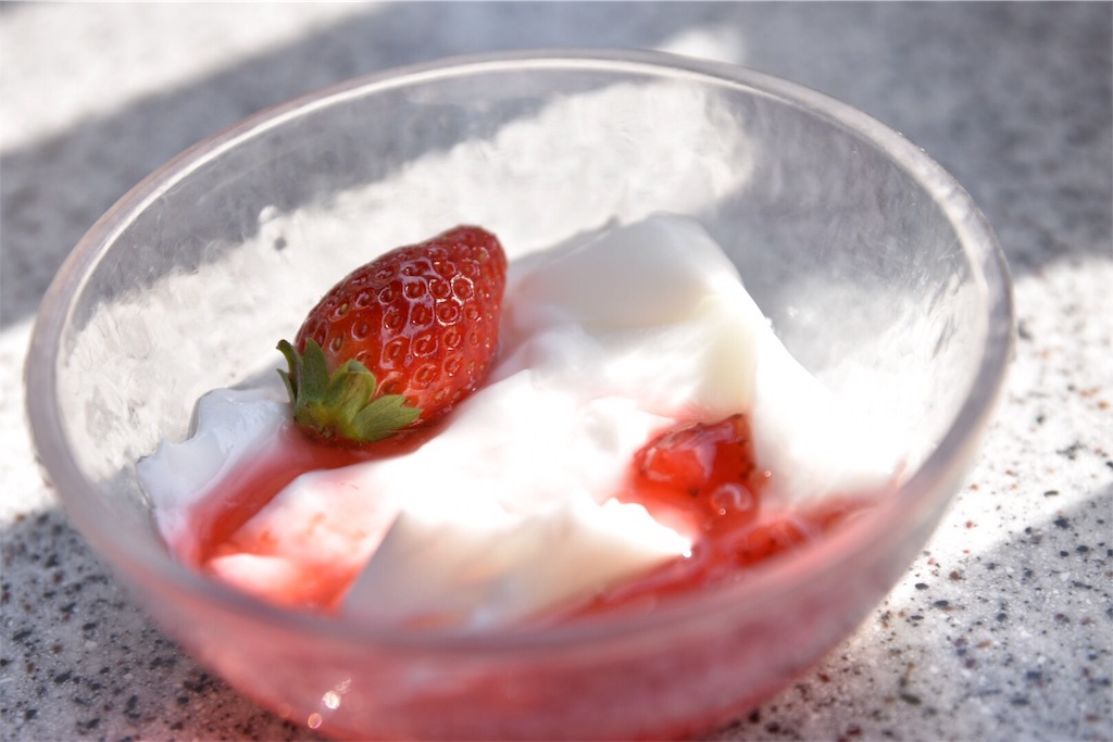 f:id:TDR_mickey1118:20190110095439j:image