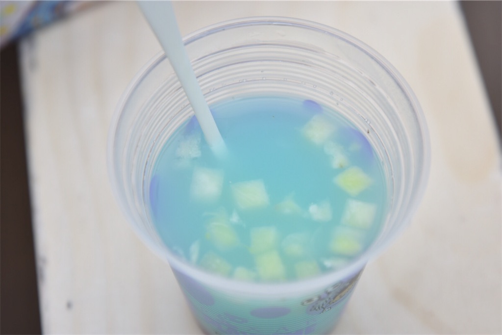 f:id:TDR_mickey1118:20190113090508j:image