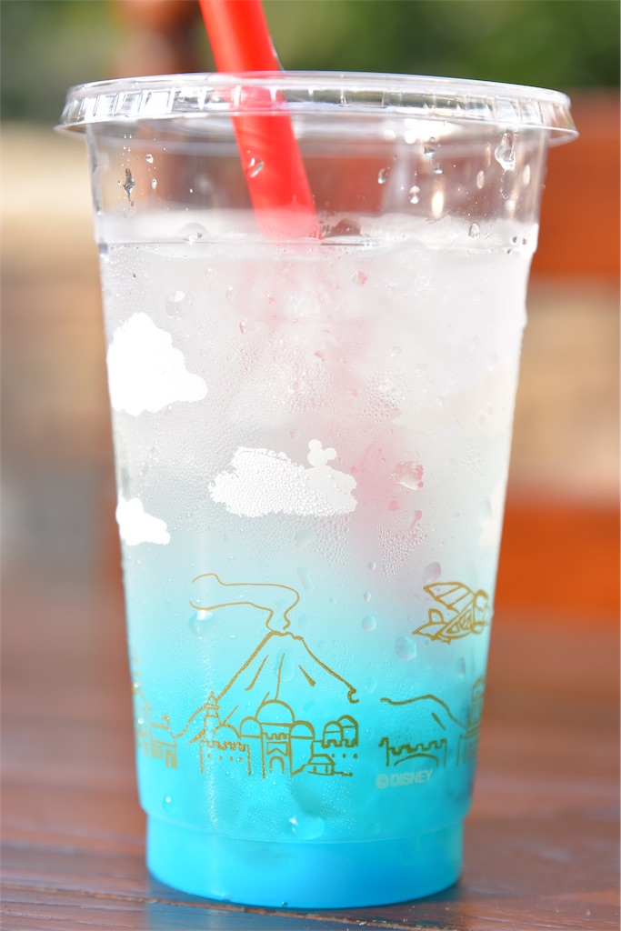 f:id:TDR_mickey1118:20190807001155j:image