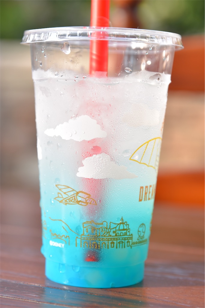 f:id:TDR_mickey1118:20190807001212j:image