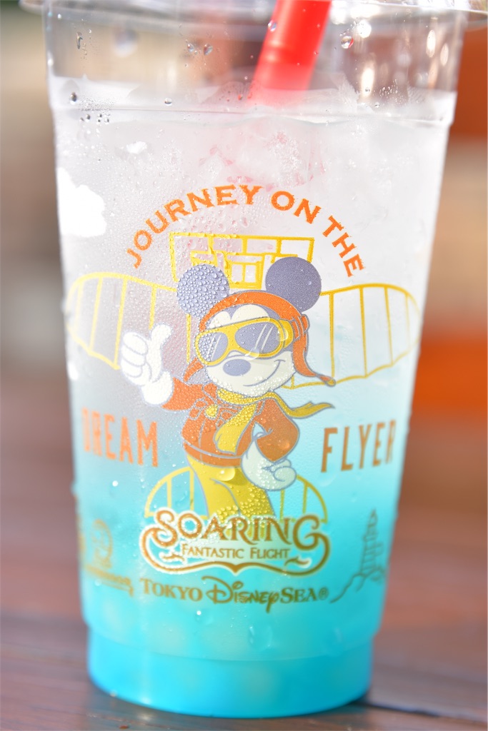 f:id:TDR_mickey1118:20190807001217j:image