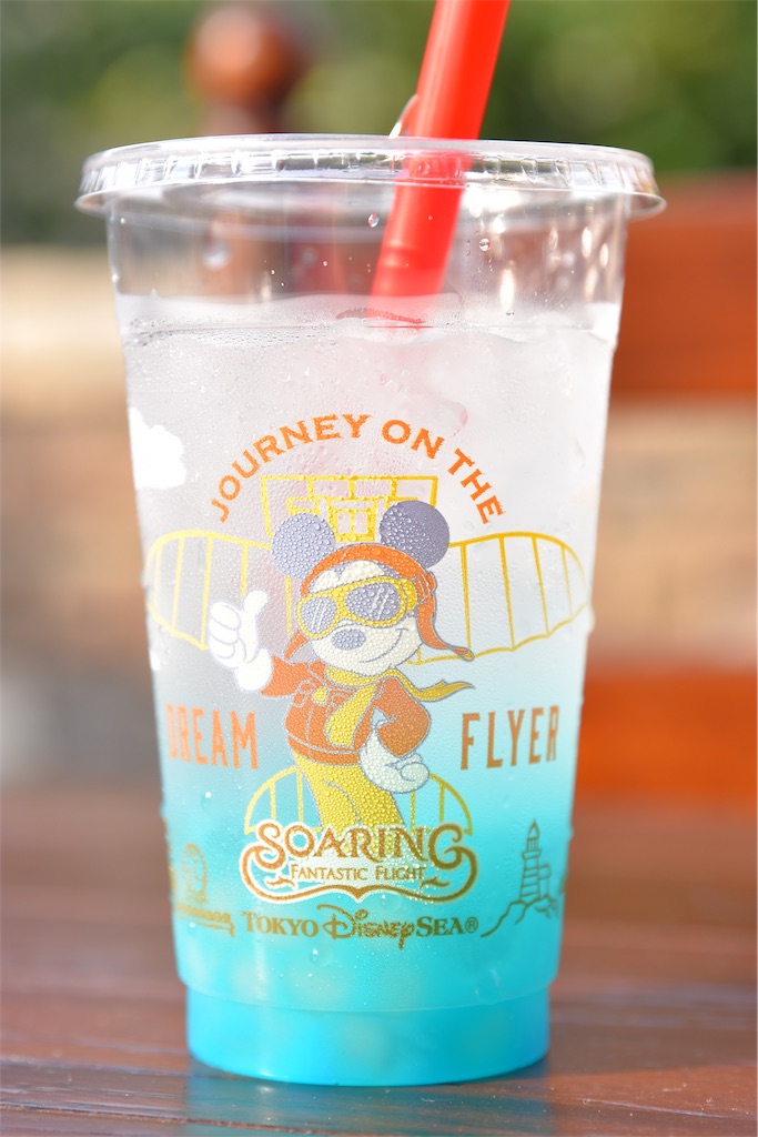 f:id:TDR_mickey1118:20190807001230j:image