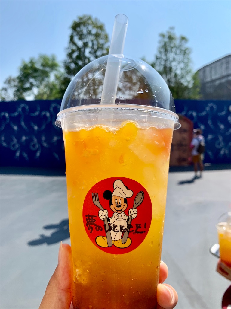 f:id:TDR_mickey1118:20190822054254j:image f:id:TDR_mickey1118:20190822054254j:image