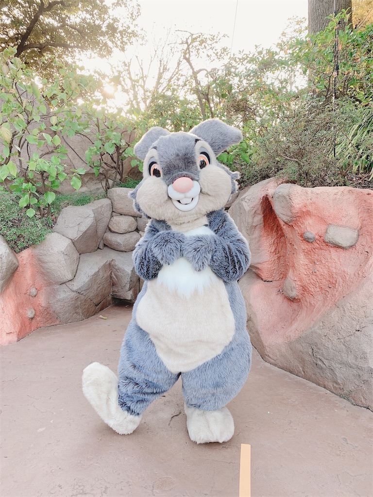 f:id:TDR_mickey1118:20210502232124j:image
