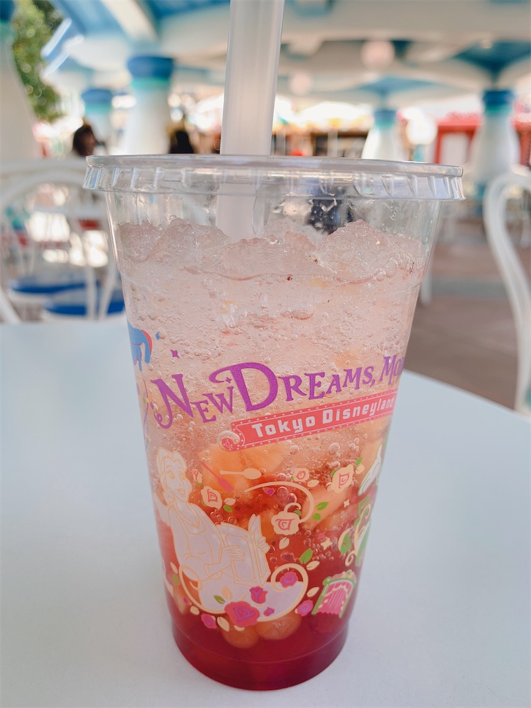 f:id:TDR_mickey1118:20210502232131j:image
