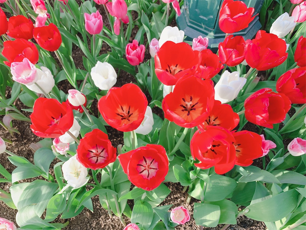 f:id:TDR_mickey1118:20210502232454j:image