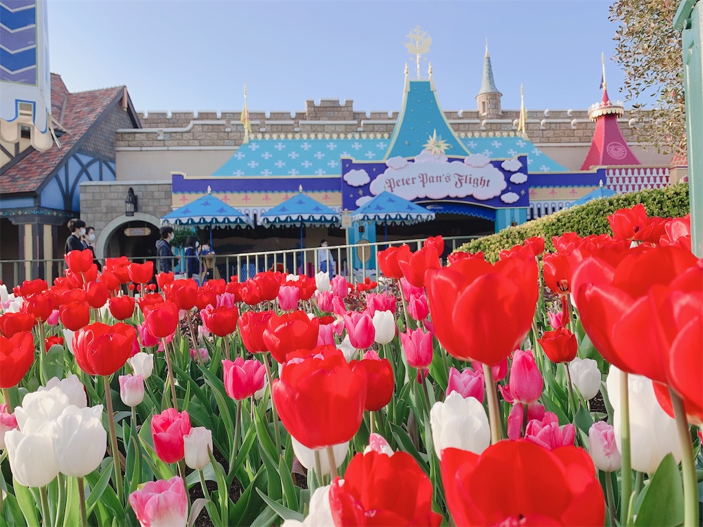 f:id:TDR_mickey1118:20210502232723j:image